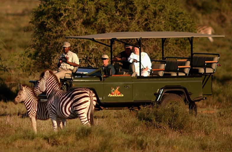 Game Drive
