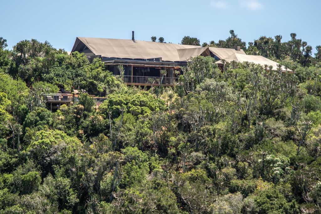 Settlers Drift offers 5-star luxury in a remote part of the Kariega wilderness. 