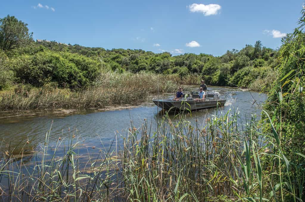 Arrive and depart from the lodge by boat and enjoy a safari from the Bushman's River.