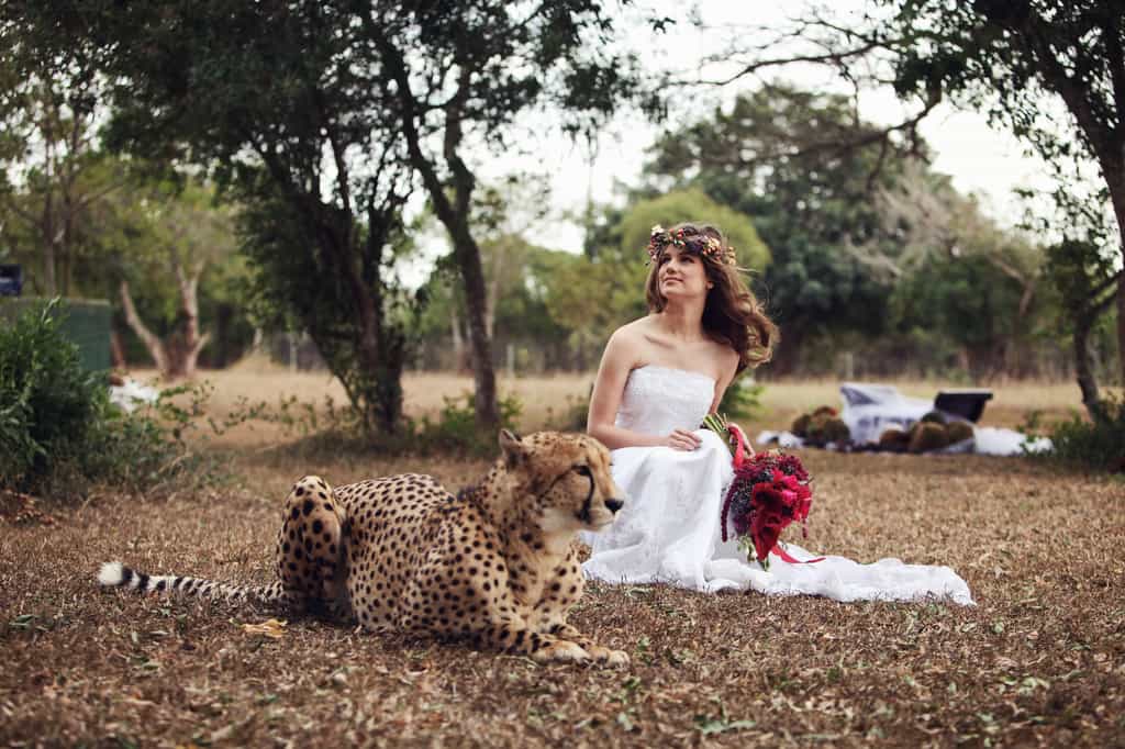 If you have ever dreamt of a true African wedding; walking down a grassy aisle with African wildlife grazing in the background, then this is possible at Emdoneni Lodge, where even a cheetah may pose with you for a photograph.