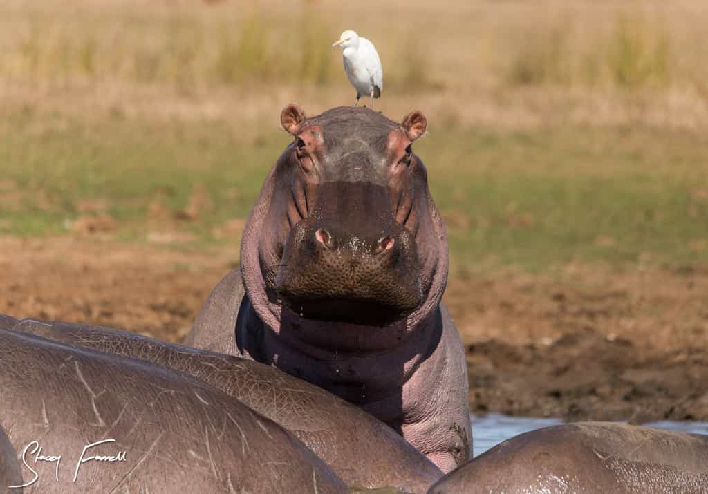 The province of KwaZulu-Natal is, in itself, a popular tourist attraction, promising visitors a world of attractions and activities