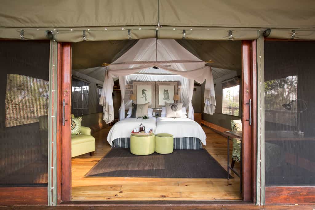 Pafuri Luxury Tent