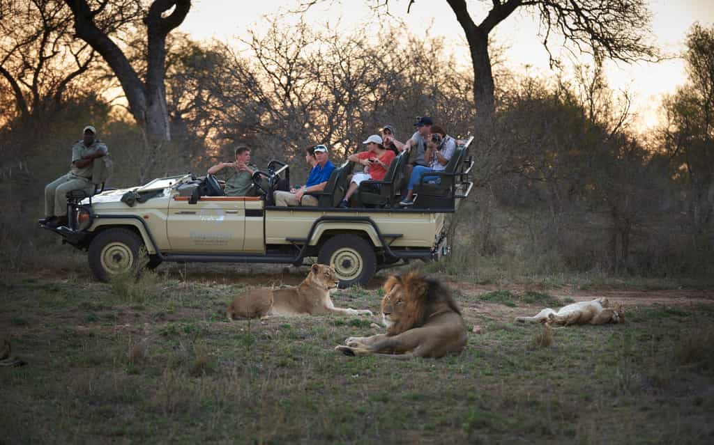 Two daily game drives are included in the tarrif