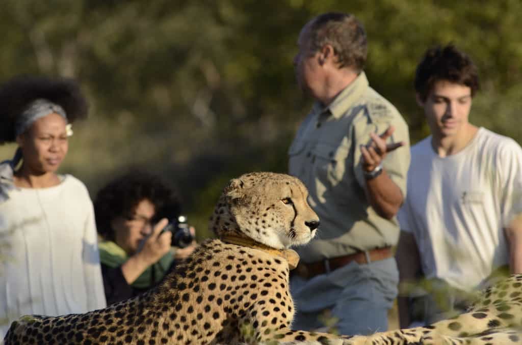 Morning Walk briefing