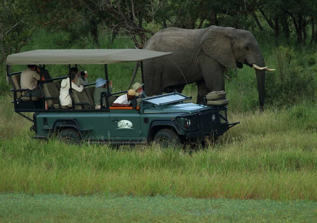 Enjoy your Game drive up close and personal as your Ranger and Tracker take you off road to get the best position to photograph the majestic Big 5 