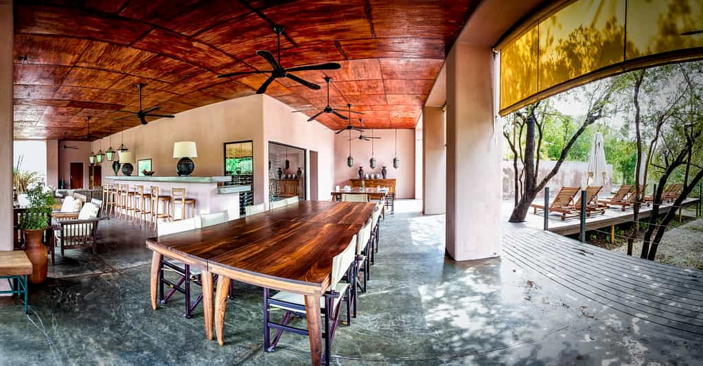 There are 12 tents which are nestled in a Tamboti grove overlooking a dry river bed.