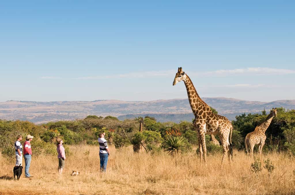 Getting close to the wildlife