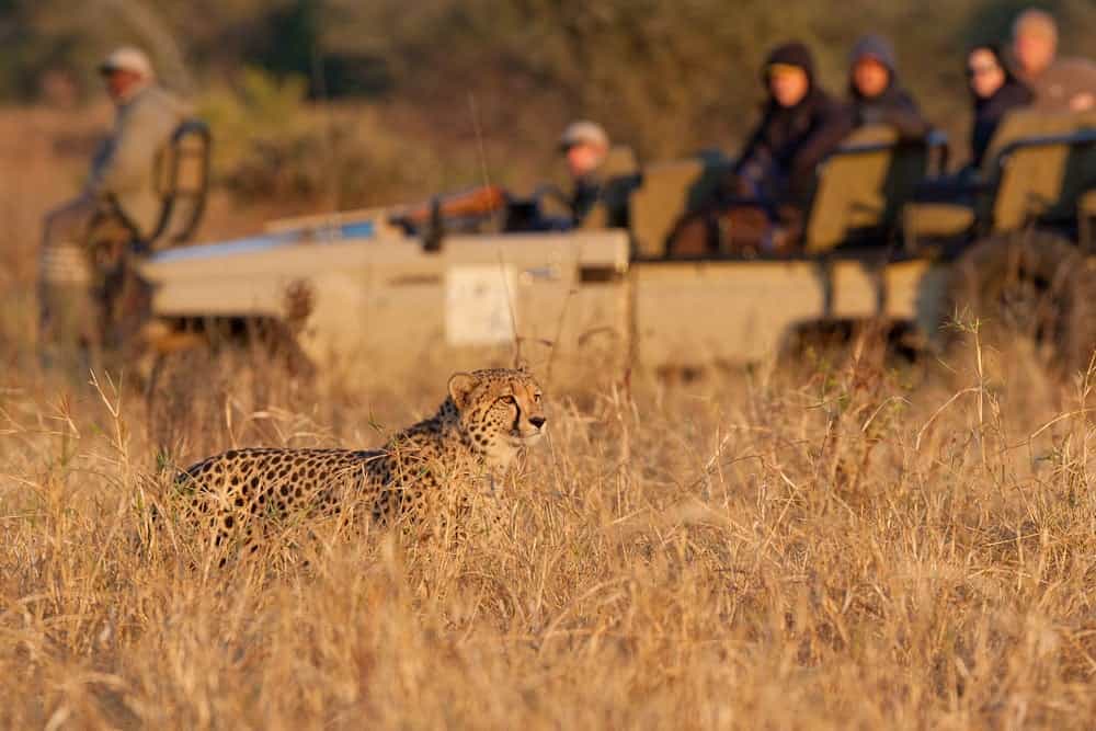 Private Amakhosi Game vehicle 