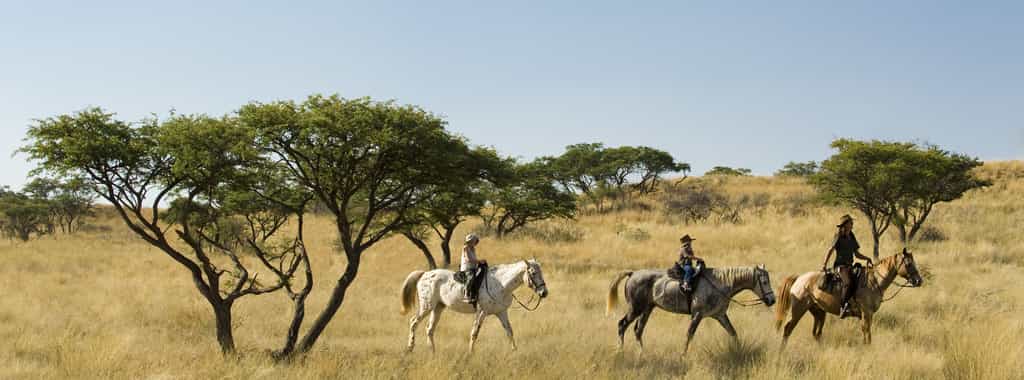 We cater for all levels of rider