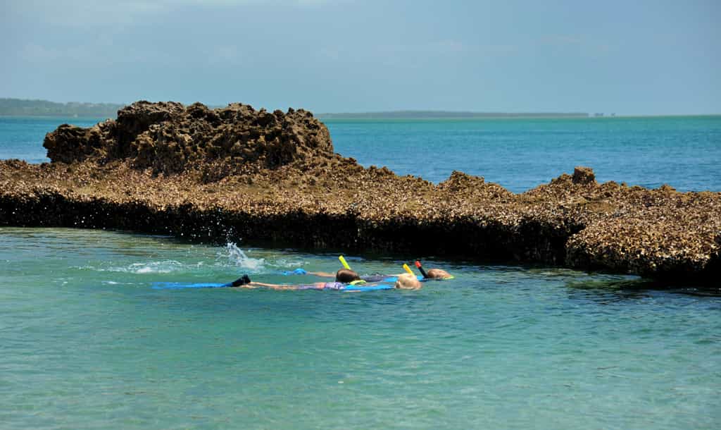 Snorkeling in the Inhaca Marine reserve is safe and VERY easy, even the smallest kids can enjoy this wonder-world. 