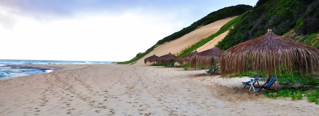 The "Majeka" umbrellas are scattered on the beach.