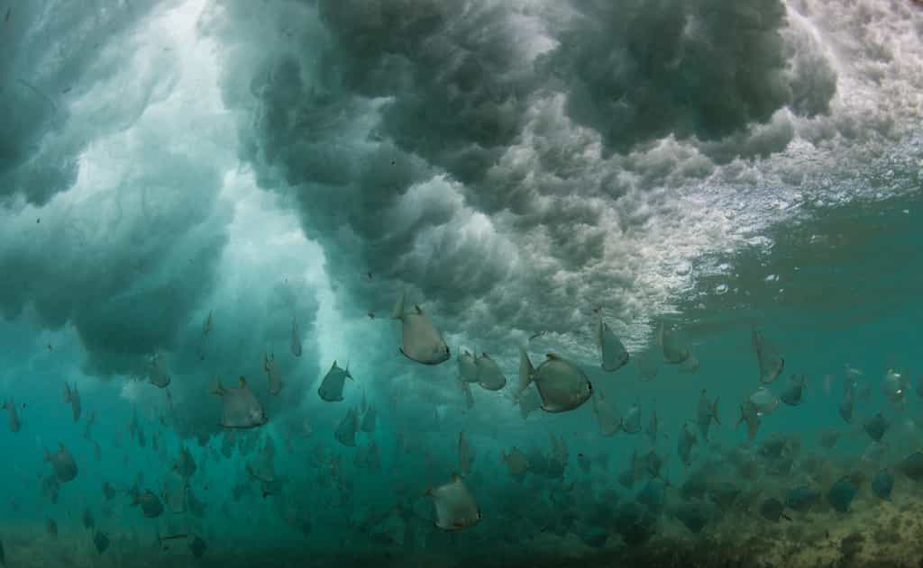 Only meters from our rooms