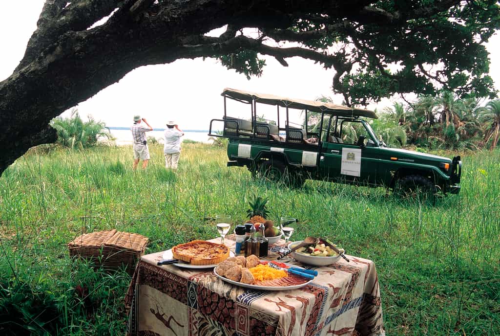 Enjoy a picnic lunch in the middle of the bush/wetlands on one of our full day safaris!