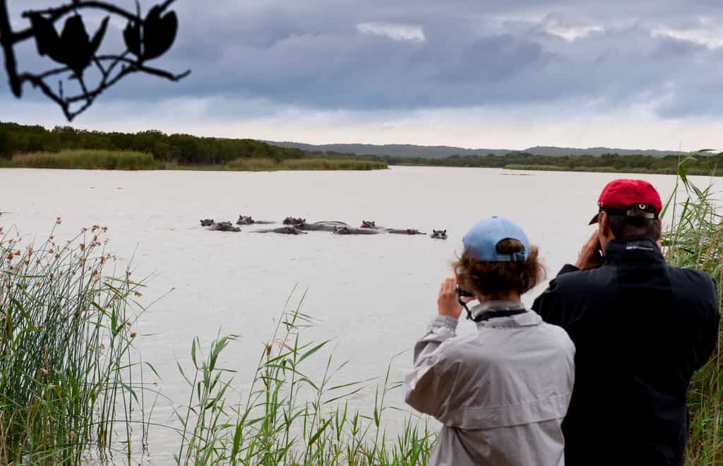 Game drives are included in the Fully Inclusive rate at Makakatana Bay Lodge