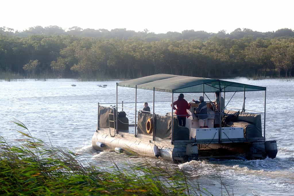 Exploring the wetlands by boat