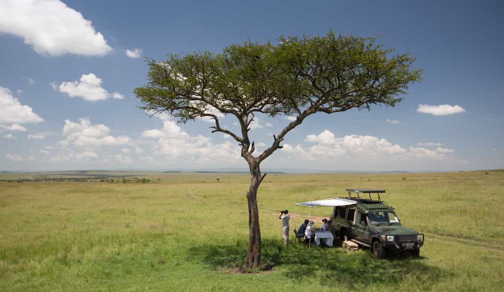 A bush lunch in the Masai Mara plains