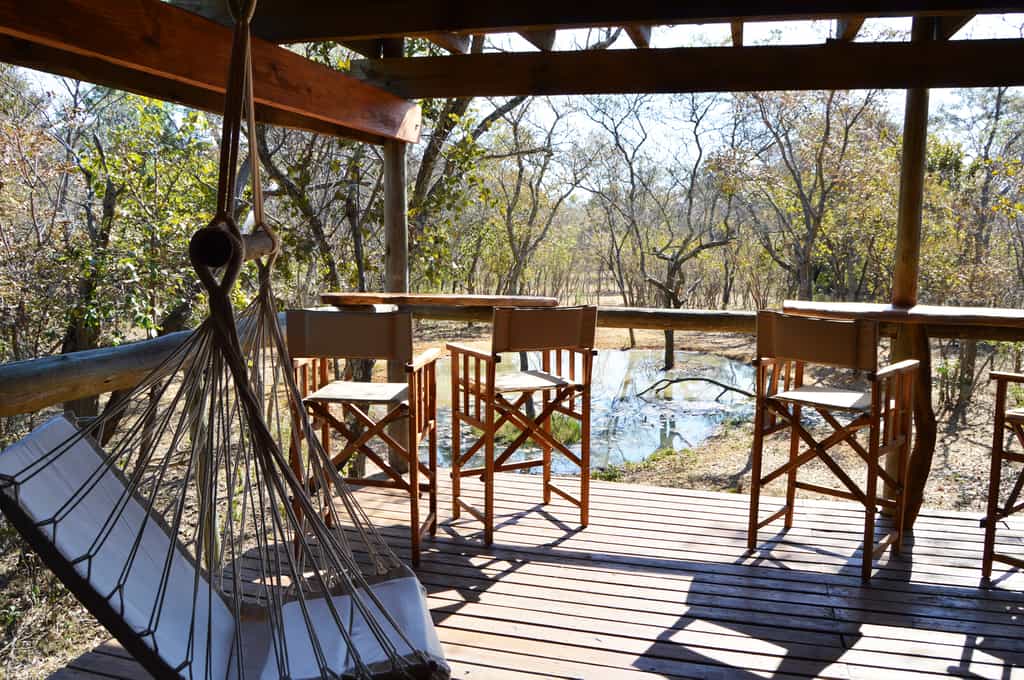 We have strived to create an authentic and comfortable safari atmosphere close to the wildlife with artistic luxury. There is a