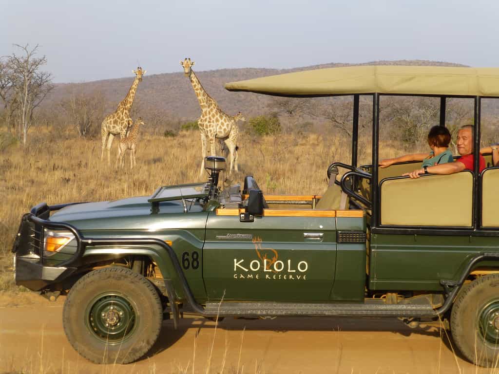 Kololo is therefore a prime destination for families with children. The "big game" is safely behind the Welgevonden gate so the kids are free to explore the area yet with the adventure of the 'safe' willidfe on Kololo.