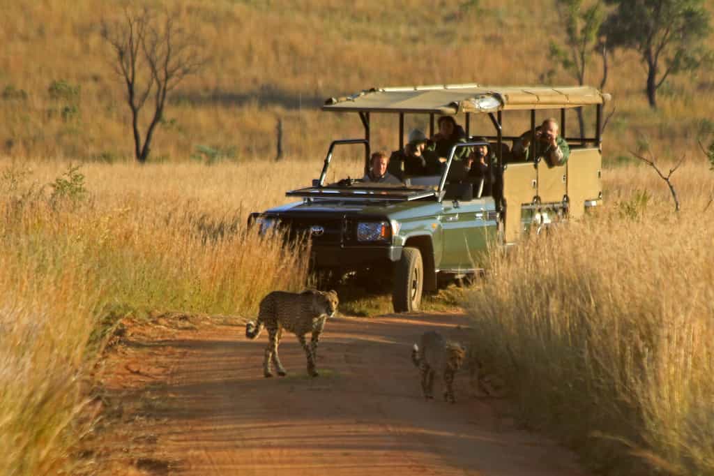 therefore we have access to this beautiful place. One of the highlights of staying in Kololo is a visit to this neighbouring Welgevonden Game Reserve. In addition to the wildlife we have on Kololo here the Big 5 - elephant, rhino, lion, buffalo and leopard - can be spotted. 