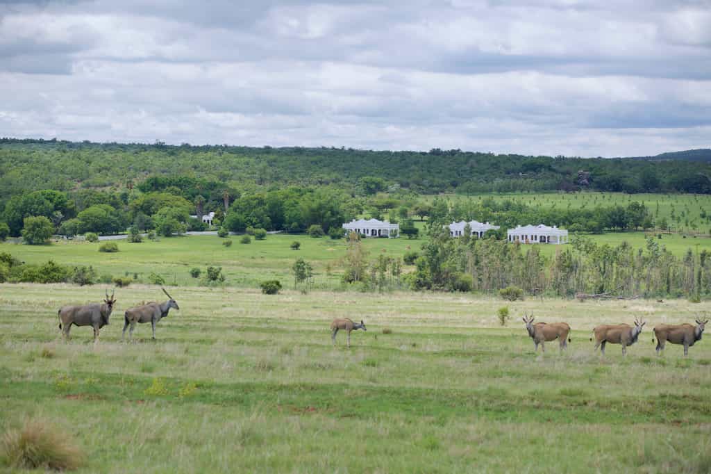 Experience the spectacular views from Chiranda