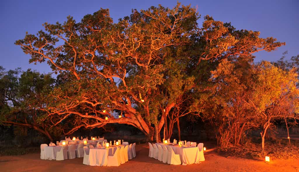 Dining under the African sky