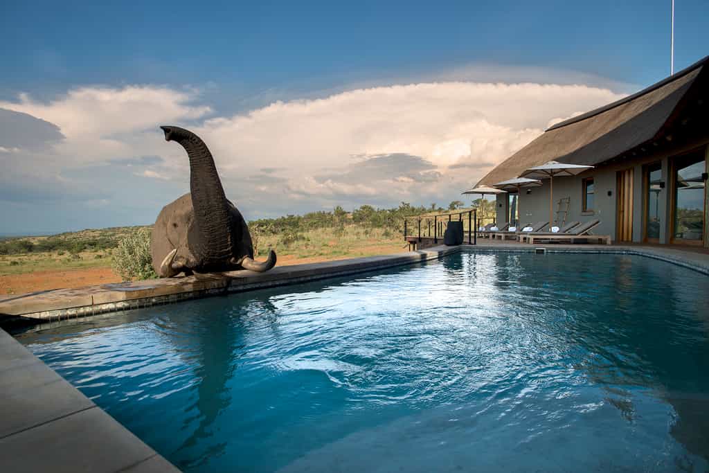 Mhondoro Game Lodge - Main lodge