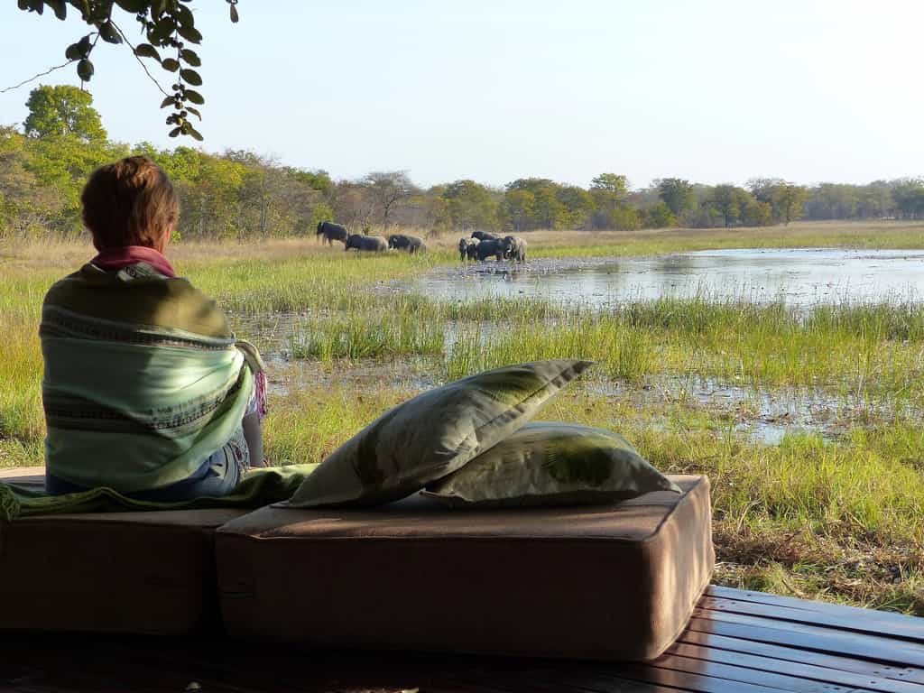 Big 5 and big views!