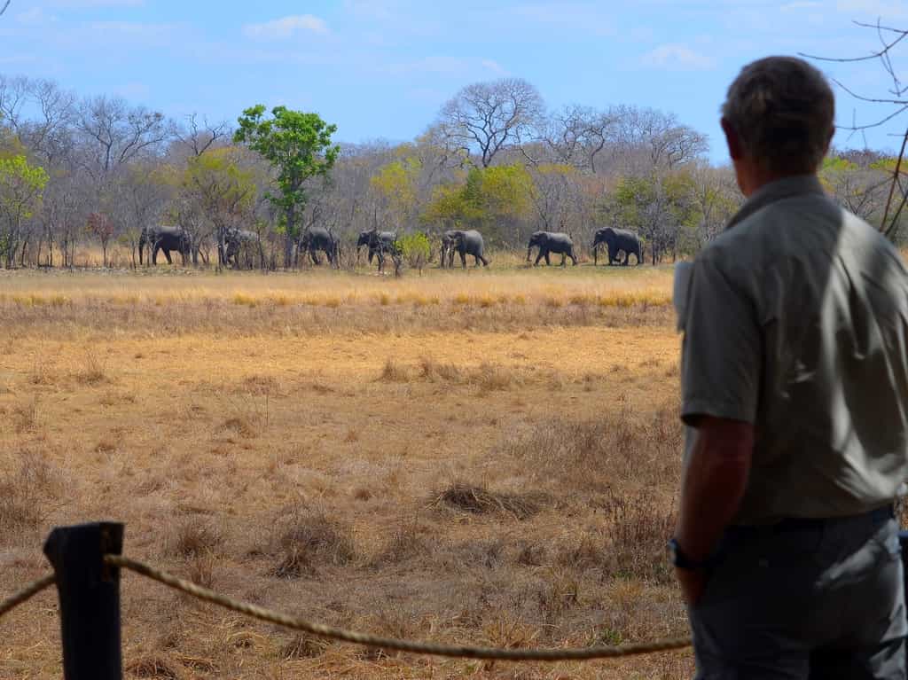 Nanzhila wildlife viewing