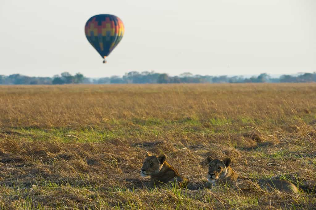 Hot Air Ballooning over the Plains