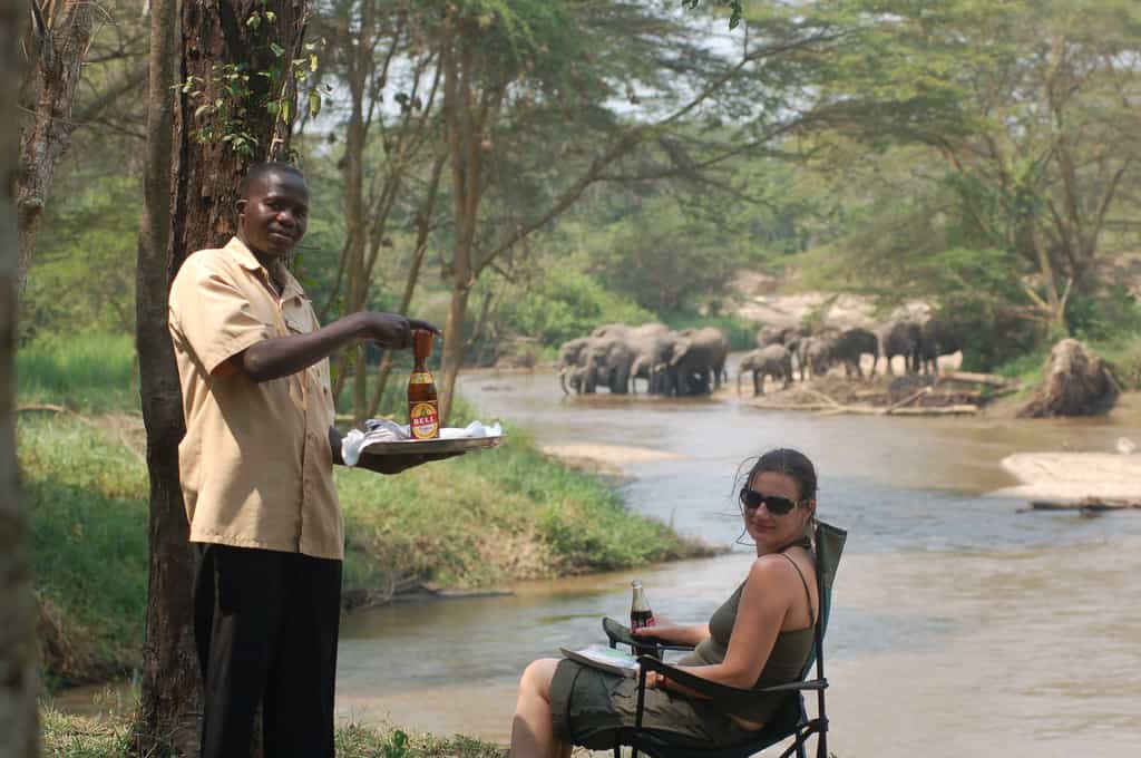Elephants coming down to the river for a drink.