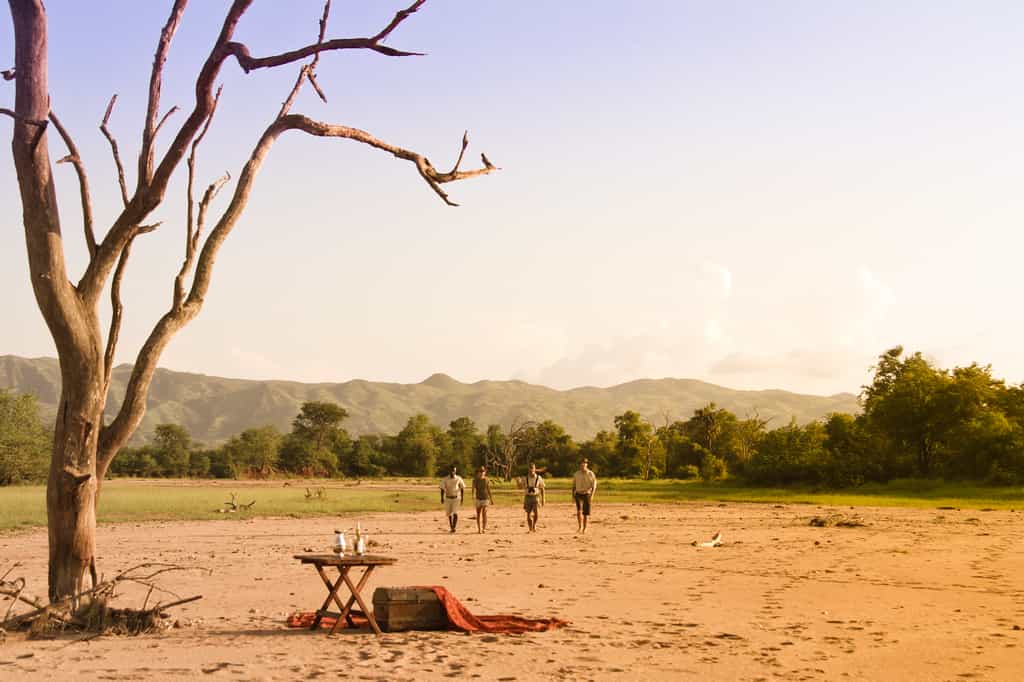 Arguably the best way to experience and feel in touch with the African bush. Walks are conducted in the early mornings and late afternoons for your comfort.