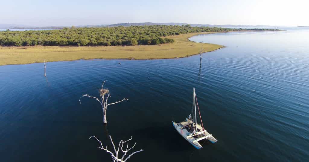 Sailing to Starvation Island in Musango's 23 foot catamaran and experience the abundant wildlife and birdlife in the area.