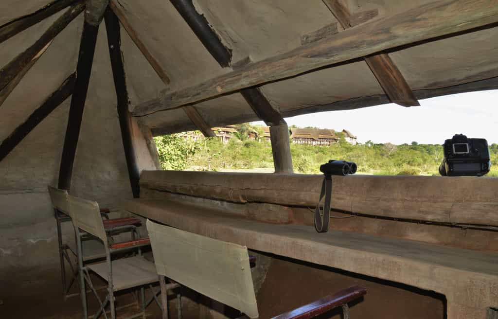 Don't miss out on viewing wildlife in a unique setting at Siduli Hide 