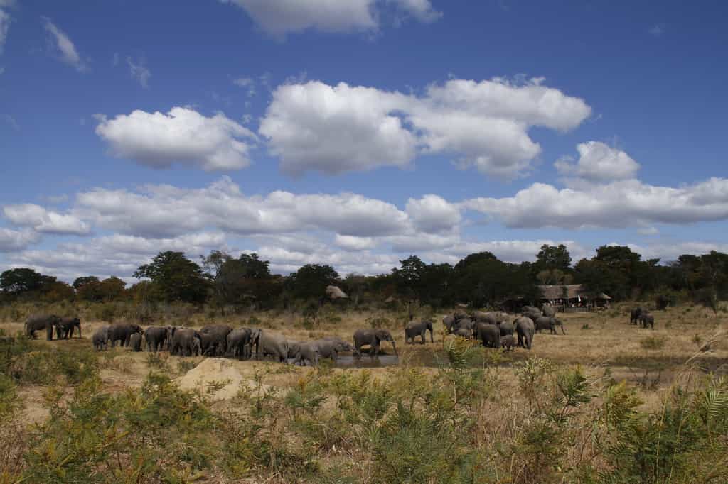 Breathe taking watering hole on Khulu Lodge's private concession