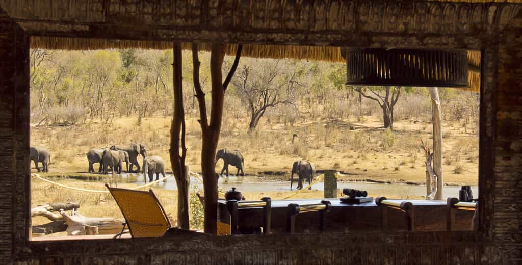 Incredible view of the watering hole from the main relaxation area at Khulu Lodge