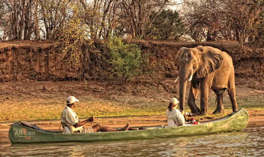 Canoe safaris
