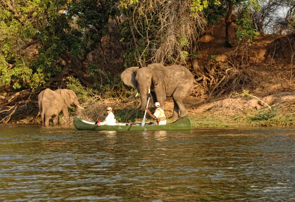 Canoe safaris