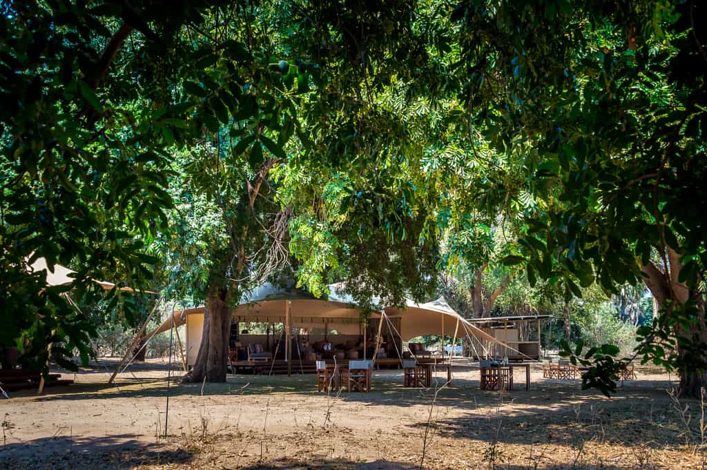 Little Ruckomechi’s scenic location epitomises Mana Pools National Park in all its abundance