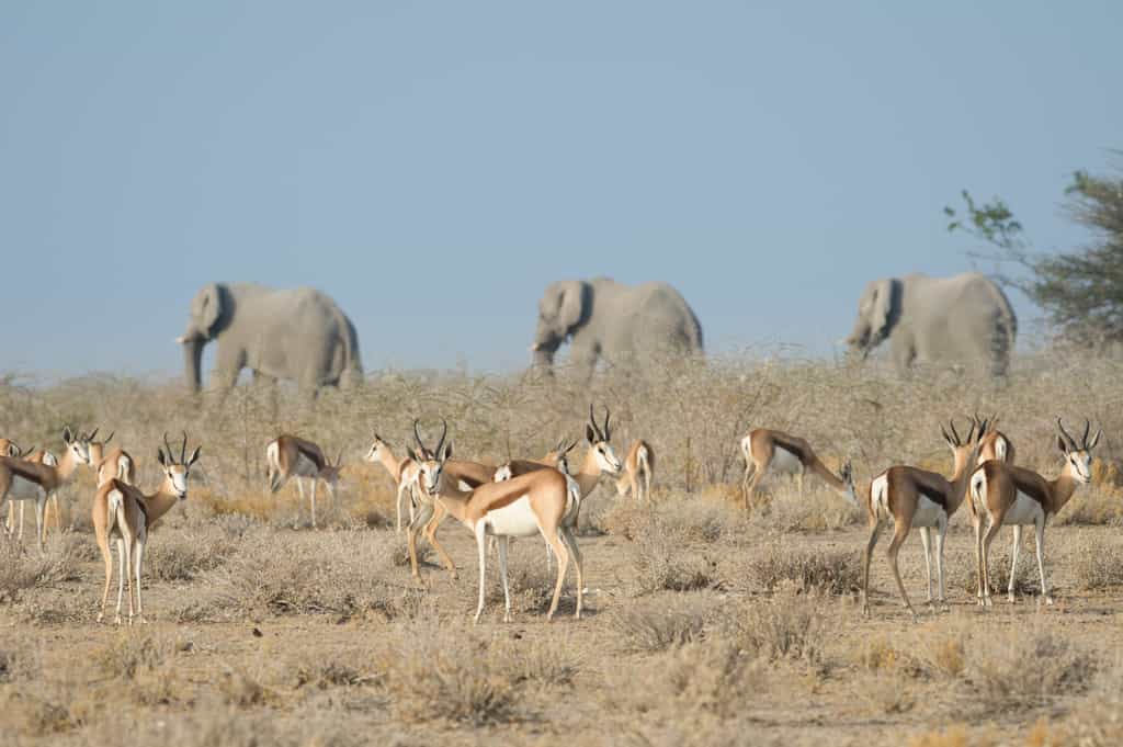 Lifelong memories made at Safarihoek Lodge