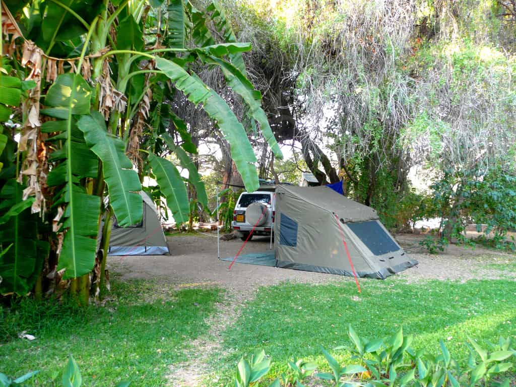 Well shaded camping ground 