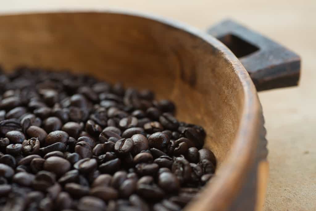 Organic coffe from the coffee plantation