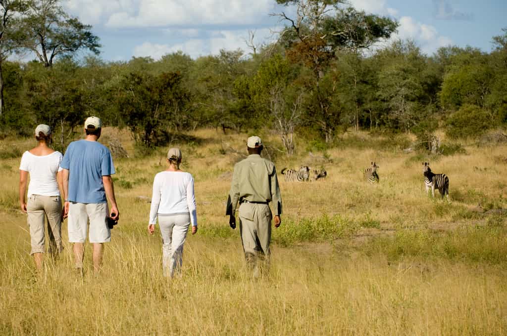 Ngala Safari Lodge - Walking Safari1