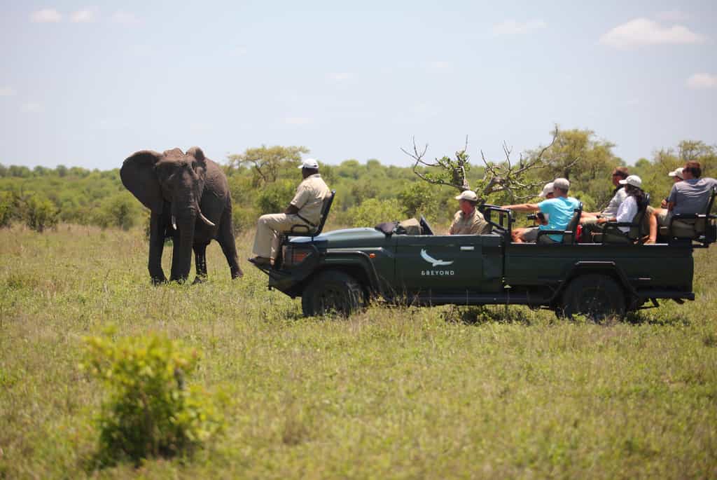 Game Drive