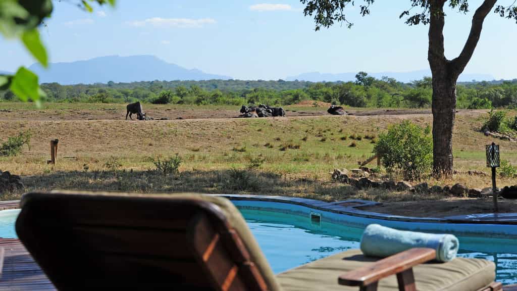 Pool deck with view of the waterhole 
