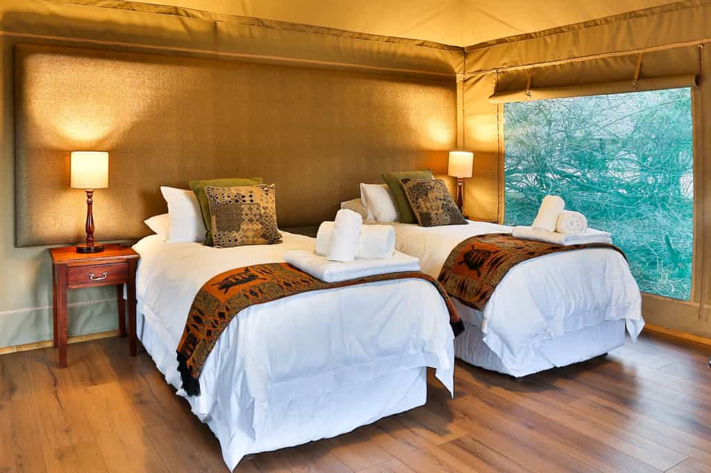 Safari Tent interior twin setup 