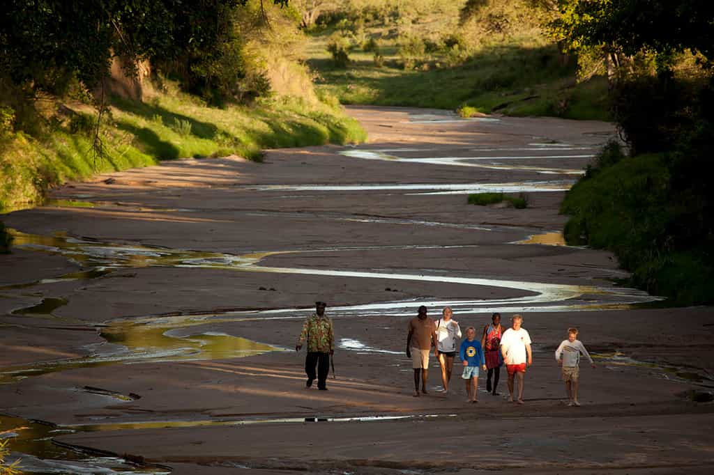 Bush lunch with amazing views of the Mara plains