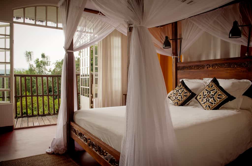 Room at the Guest Cottage