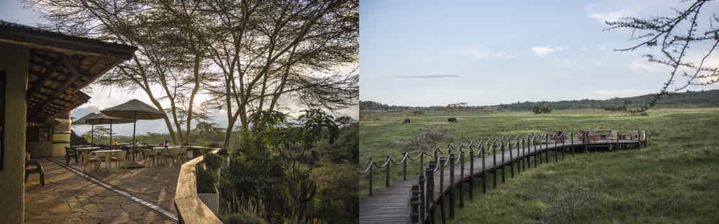 Hatari Terrace and Wildlife Walkway