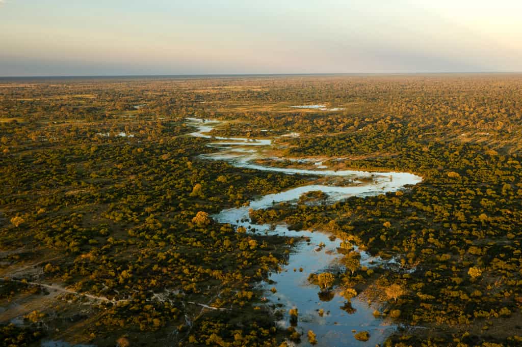 Aerial View of the Selinda Spillway