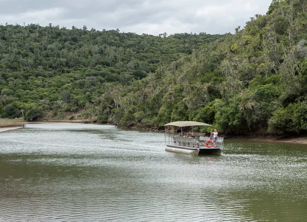 River Cruise on Kariega River